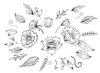 Set Flowers, foliage decor. Engraving in a minimalist style. Contour hand drawing. Can be used for decoration, printing on paper and fabric, as well as in the interior. Vector