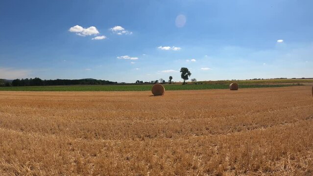 harvested field in summer mie bale hay