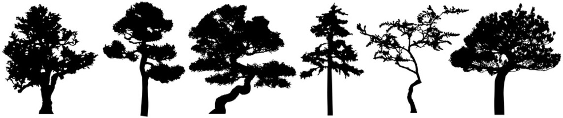 Png silhouette of trees. Isolated eps 10.