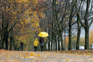 Mom and child in raincoat are walking under yellow umbrella in autumn park. Back view
