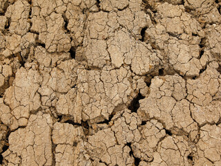 ground dried and cracked