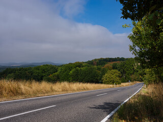 Naklejka premium Landstraße Wald Fernsicht