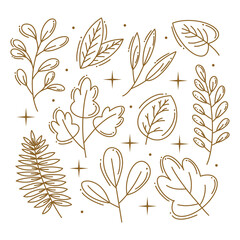 Gold hand drawn plant leafs collection