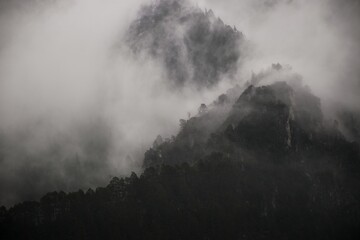 Fototapeta na wymiar mountain forests in the fog