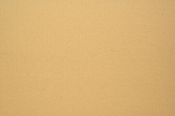 Brown grunge paper recycled for background and web design
