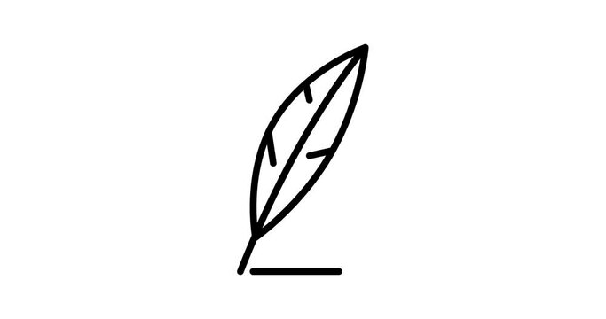 writing feather animated outline icon. writing feather line icon motion design for web, mobile and ui design.
