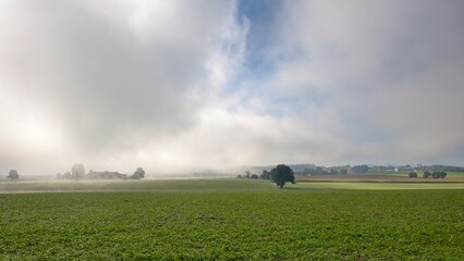 Fog is sweeping across the country