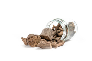 macro Baliospermum montanum or dantimol stem isolated on white background