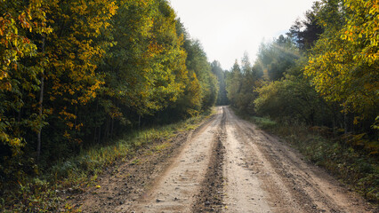Obraz premium Dirt road with a beautiful autumn forest on the sides. The sun's rays slide along the road and fall on the autumn forest.