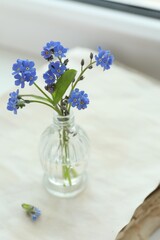 Beautiful blue forget-me-not flowers in glass bottle on window sill