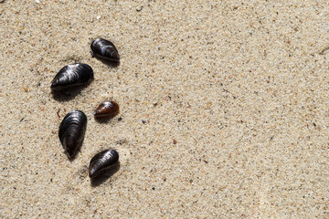 Am Strand