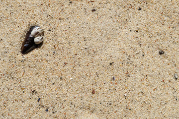 Am Strand
