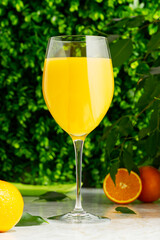glass of fresh orange juice with fresh fruits over a green background. fresh orange juice