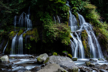 Fototapeta premium 美しい滝 山梨県吐竜の滝