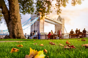London during golden autumn time with colorful tree leaves under sunset sunlight in front of the defocussed Tower Bridge