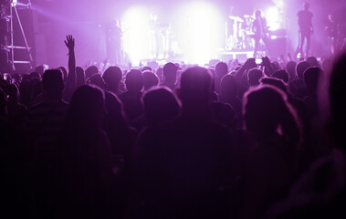 crowd at live concert music festival