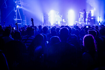 Fototapeta na wymiar crowd at live concert music festival