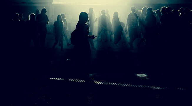 silhouettes of people walking at sunset festival
