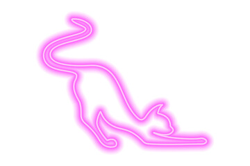 Pink neon cat silhouette isolated on white. Satisfied cat stretches and waves its tail