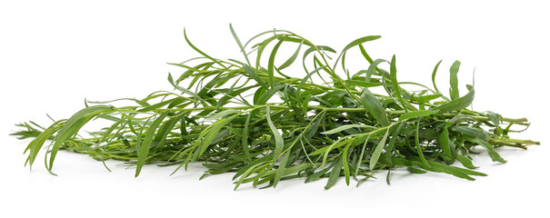 Bunch of tarragon leaves.