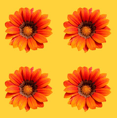 Floral greeting card design