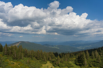 Beautiful hilly area on a sunny day in summer. Picturesque scene in the Carpathians mountains, Ukraine