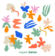 Vector Organic Abstraction Landscape Plants Fruits Cut Pieces of Paper Shapes Flowers Bouquets Vase