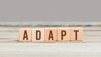 Word Adapt on wood cubes