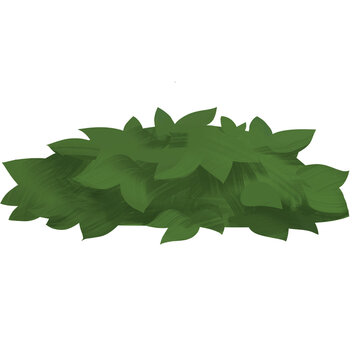 Hand drawn green forest bush 2d illustrations PNG isolated
