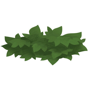 Hand drawn green forest bush 2d illustrations PNG isolated