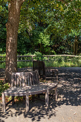 公園の木陰のベンチ