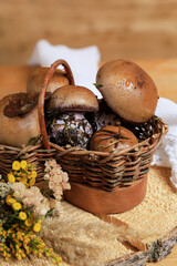 Mushrooms freshly picked in the forest after the rain.