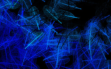 Dark BLUE vector abstract pattern with leaves.