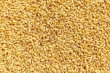 Close up picture of golden flaxseeds, selective focus.