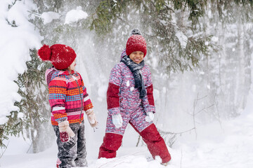 Happy Caucasian and African-American girls are walking in a winter park, shaking snow from...