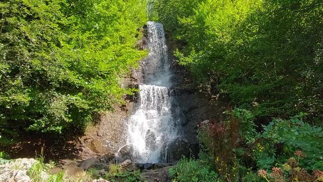 Forest waterfall nature scene outdoors