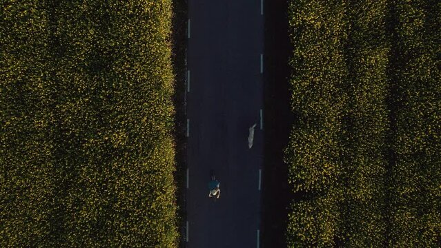 Video of beautiful young girl riding a bike while walking her dog in the park through rapessed field.