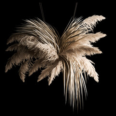 installation of a hanging bouquet of dried flowers pampas grass, dry reeds for decoration and wedding decoration on a black background
