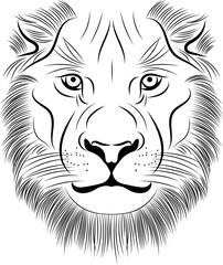 Lion drawing, Lion illustration