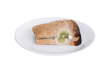piece of rye bread covered with blue green mold.  Bread on white plate isolated on white background