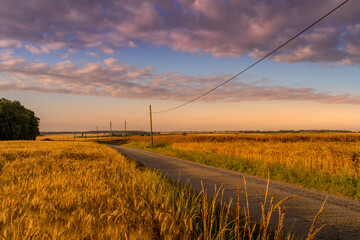 Paysage campagne 1420