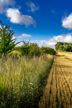 Paysage campagne 1430