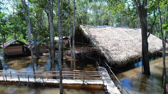 Aboriginal Indian Tribe At Manaus Amazonas Brazil. Amazonian Landscape Green Background. Outdoor Amazonian. Green Archipelago Destinations. Latin America Vacation Igapo. Manaus Amazonas Forest Trees