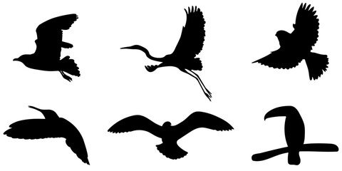Obraz premium Set of silhouette of birds. Vector illustration isolated on white background