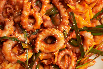 Braised Spicy Seafood and Octopus