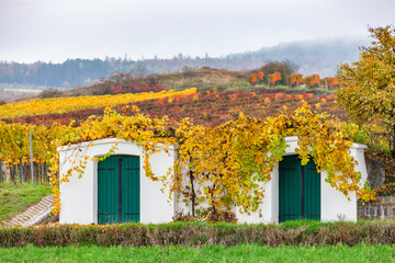 old cellars and autumn vineyards near Retz, Lower Austria, Austria