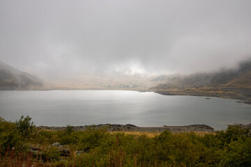 fog over the river