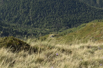 Obraz premium paysage de montagne au Col de Port en Ariège avec le versant d'une montagne