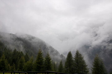 fog in the mountains