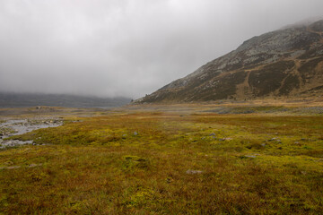 fog in the mountains